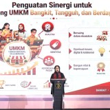 Bupati Banyuwangi: Sekarkijang Creative Fest Perluas Pasar UMKM
