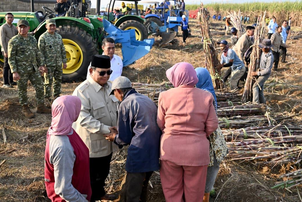 Saksikan Panen Tebu 72 Ribu Ton di Malang, Presiden Prabowo Tekankan Pentingnya Hilirisasi Pertanian