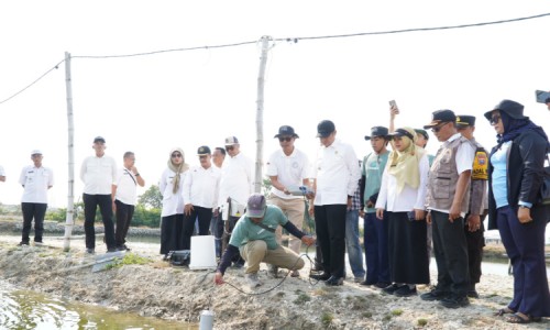Pemkab Lamongan Dorong Modernisasi Perikanan di Kampung Kerapu Brondong