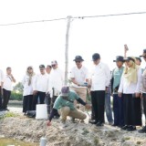 Pemkab Lamongan Dorong Modernisasi Perikanan di Kampung Kerapu Brondong