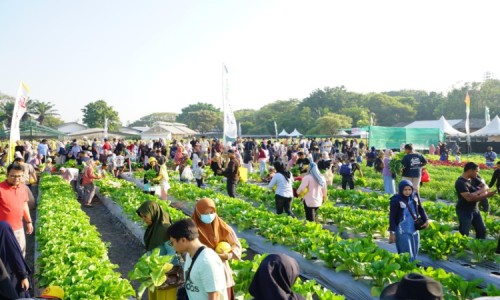 Ribuan Warga Gresik Serbu Petro Agrifood Expo 2026, Petik Buah dan Sayur Hasil Riset dan Inovasi Baru