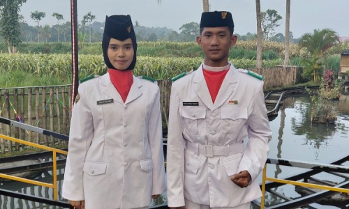 ae95df023271.jpg