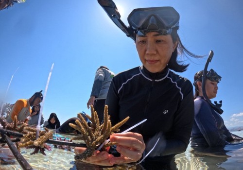 8b8d5b674519.jpg