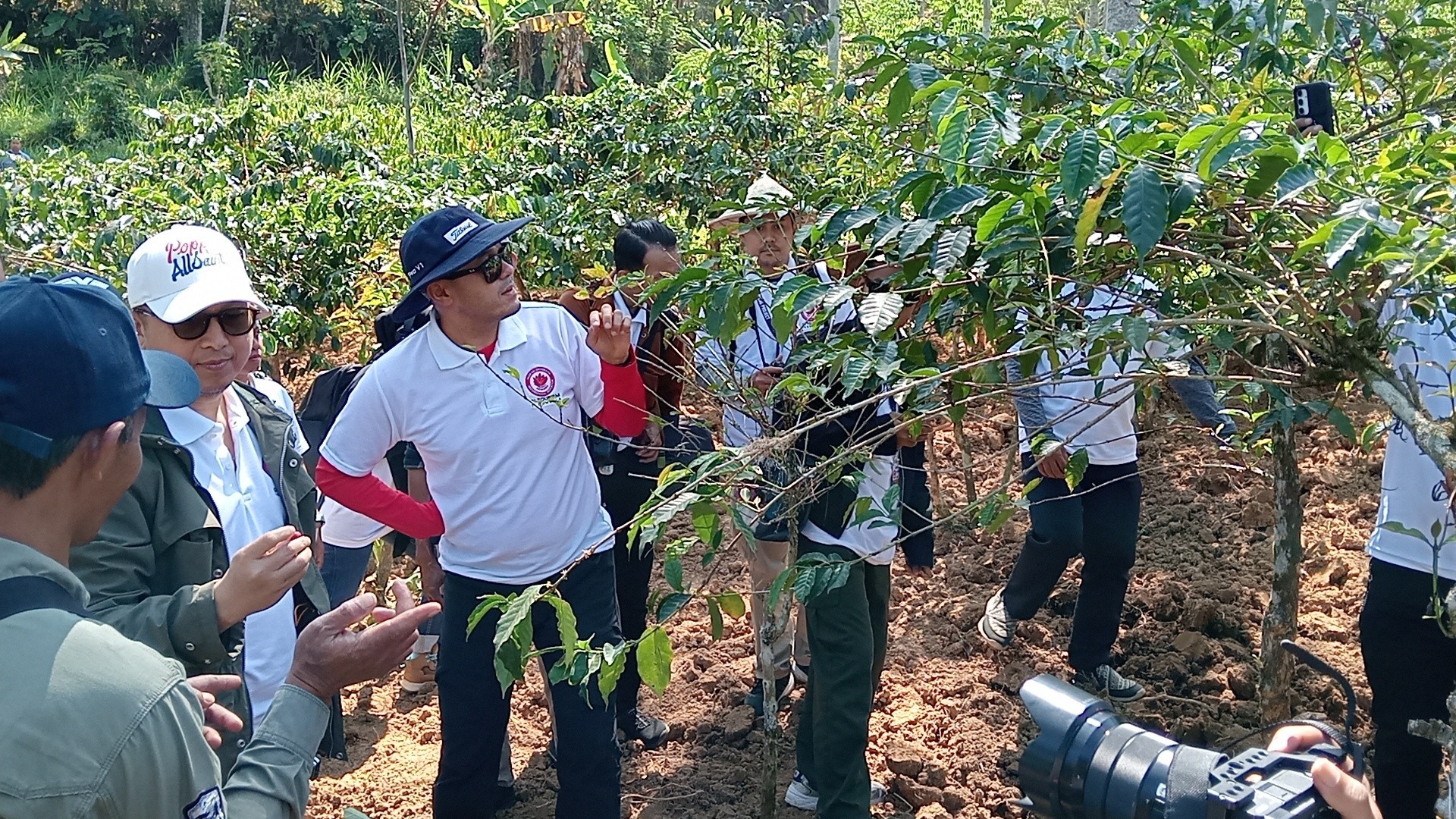 Kopi Dieng Banjarnegara Tak Lagi Sekadar Minuman, Kini Jadi Jalan Baru Wisata