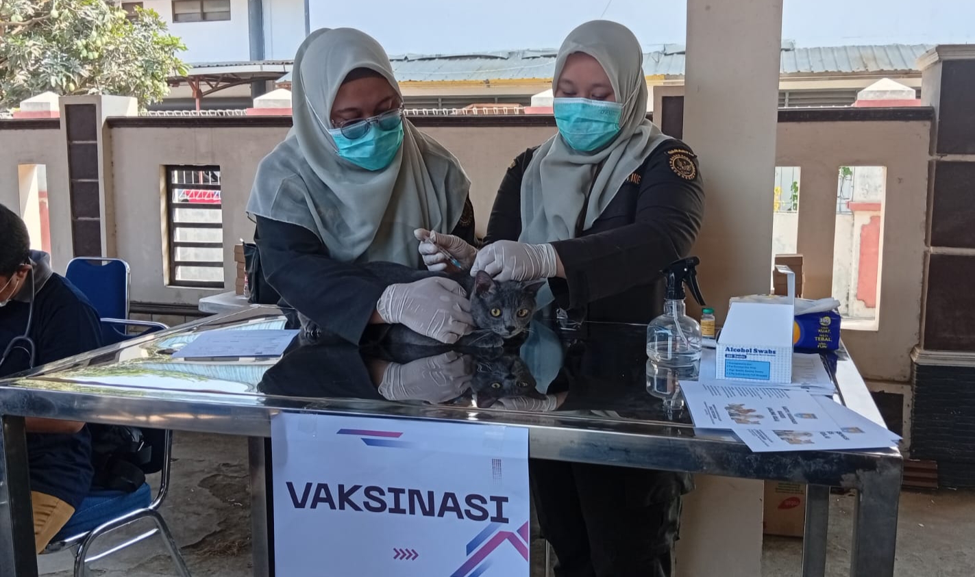 Ratusan Kucing dan Anjing Peliharaan Warga di Cilacap Divaksin Rabies