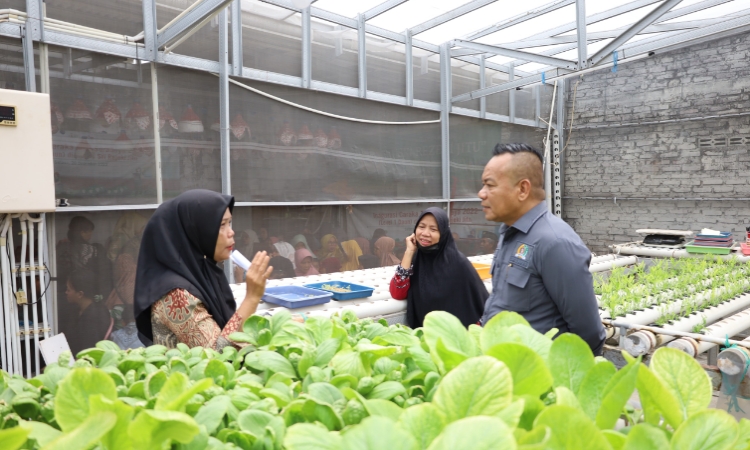 Cak Yebe Dorong Pengembangan Urban Farming untuk Ketahanan Pangan